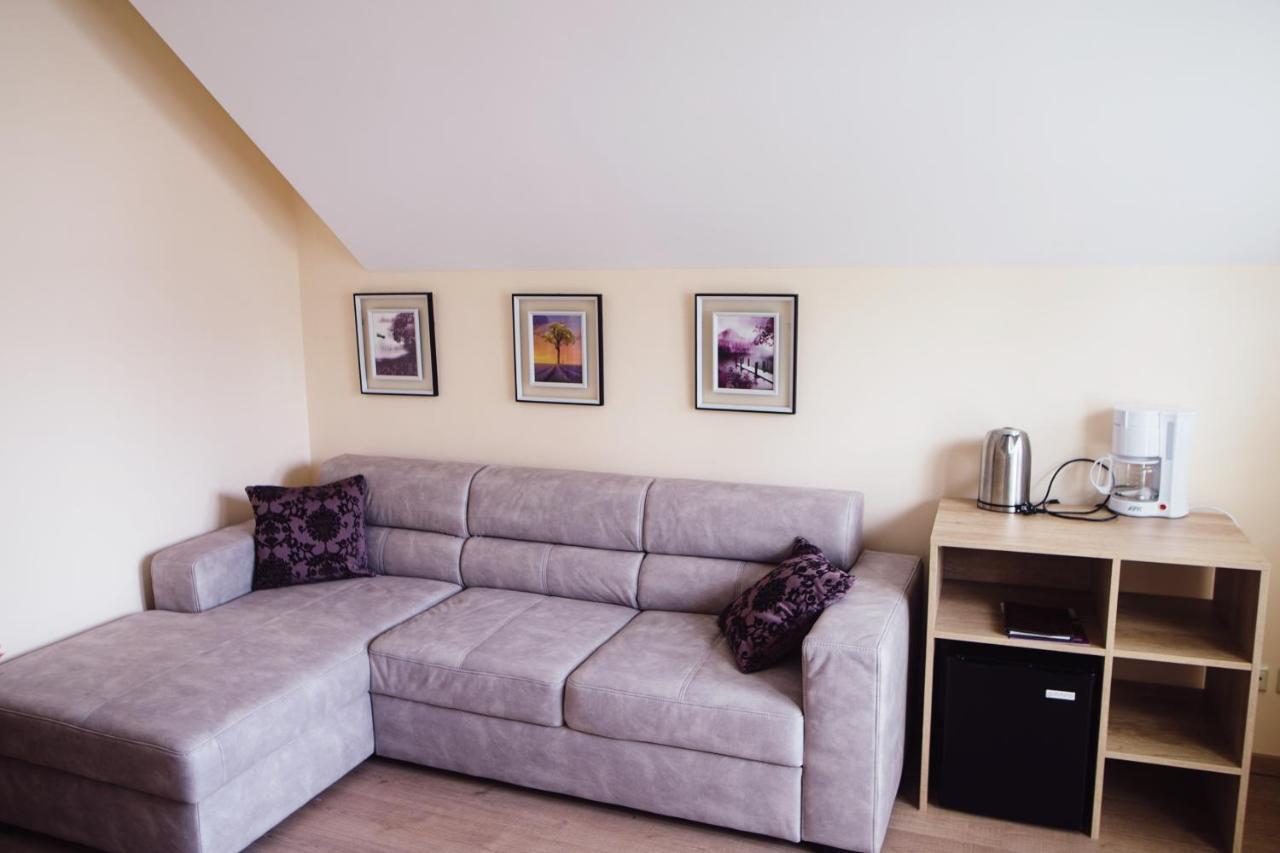Hotel - Pension Vesta Bad Elster Pokoj fotografie