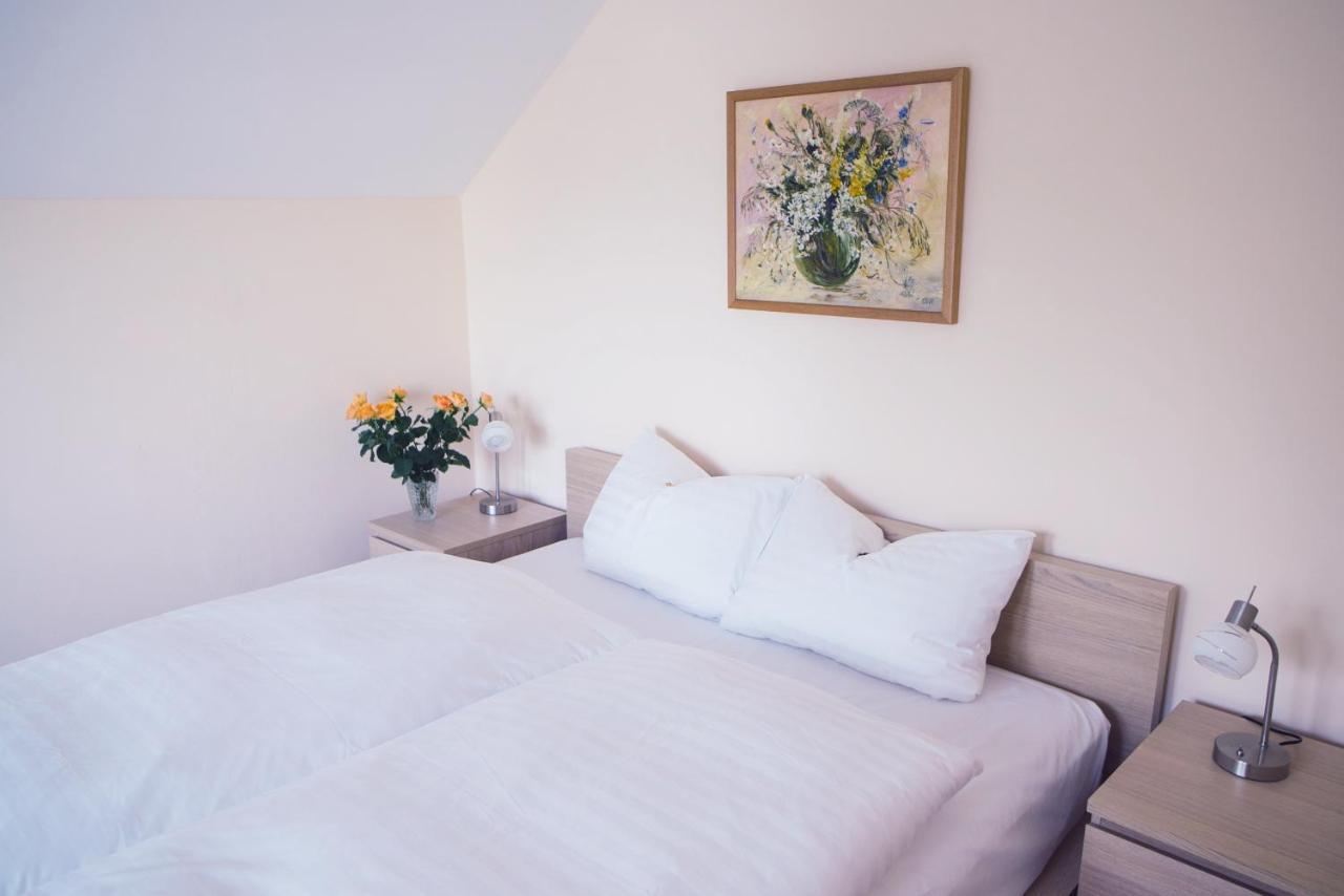 Hotel - Pension Vesta Bad Elster Pokoj fotografie