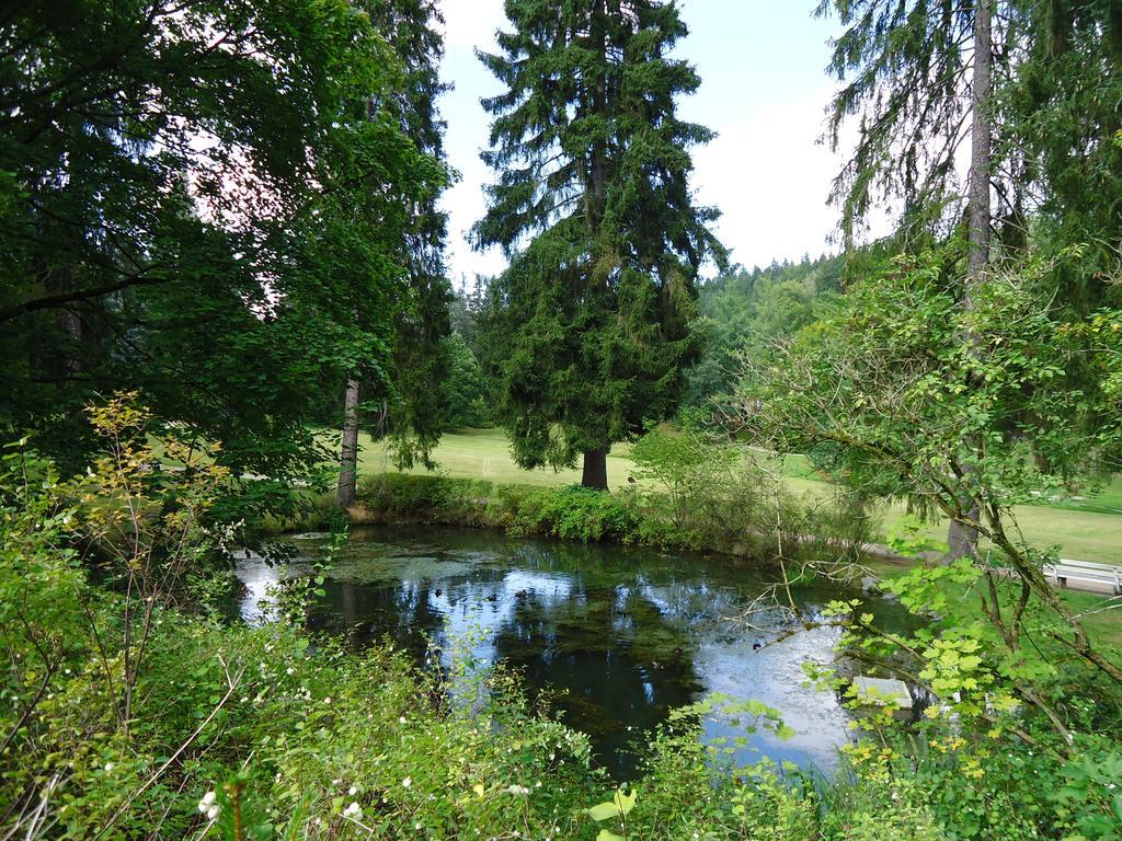 Hotel - Pension Vesta Bad Elster Exteriér fotografie