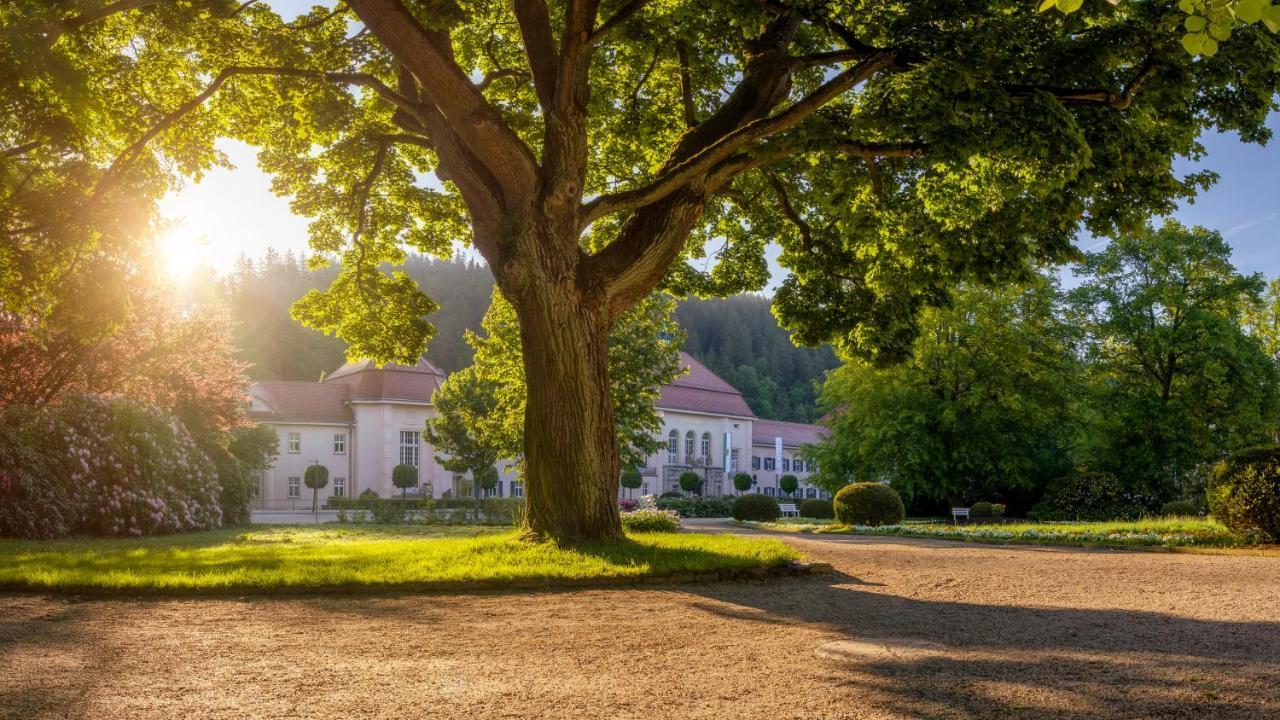 Hotel - Pension Vesta Bad Elster Exteriér fotografie